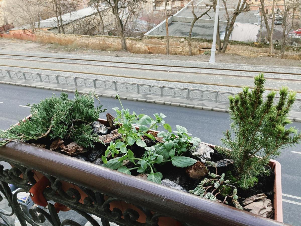 ［オデッサ市内中心部］スタジオ アパートメント（19 m²）／1バスルーム エクステリア 写真